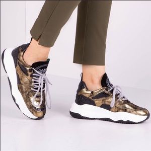 P448 Luke Gold Trainer